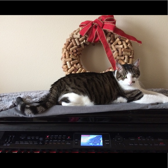 Meet your Posher, Elena - Picture 12 of 16